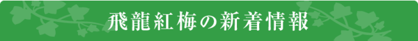 飛龍紅梅の新着情報