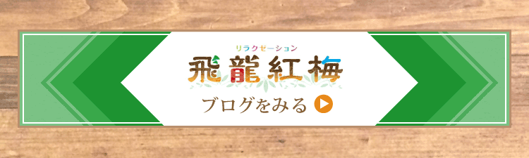 飛龍紅梅のブログをみる