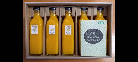 300ml 5本入り